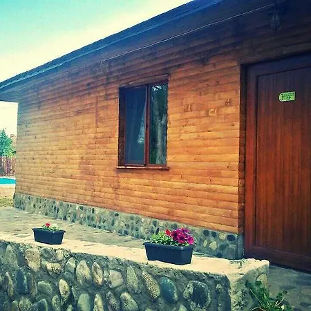 Zdravets *